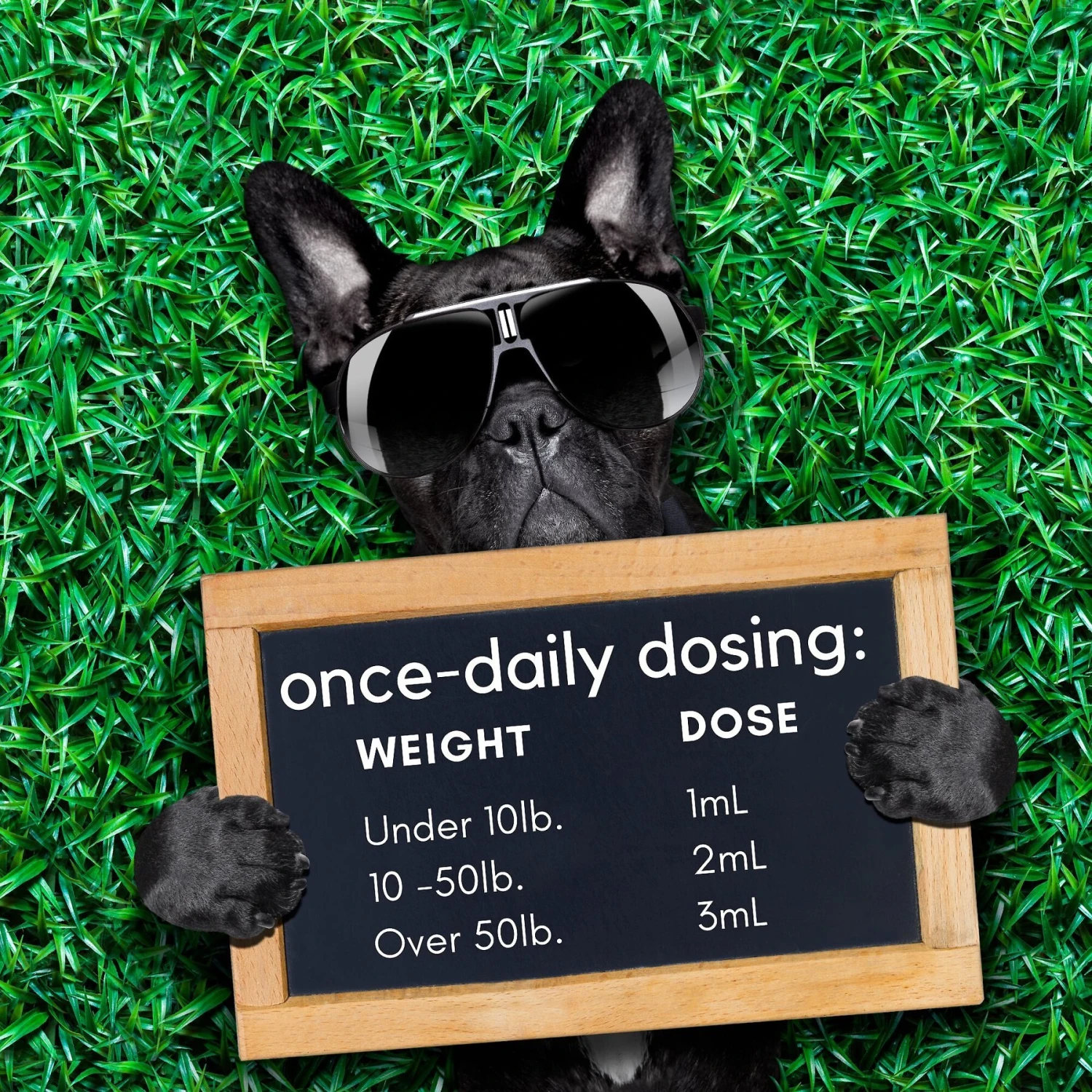 RestoraPet Daily Supplement Organic Bacon Flavor Dog & Cat Supplement 8 RestoraPet Daily Supplement Organic Bacon Flavor Dog & Cat Supplement - Image 8