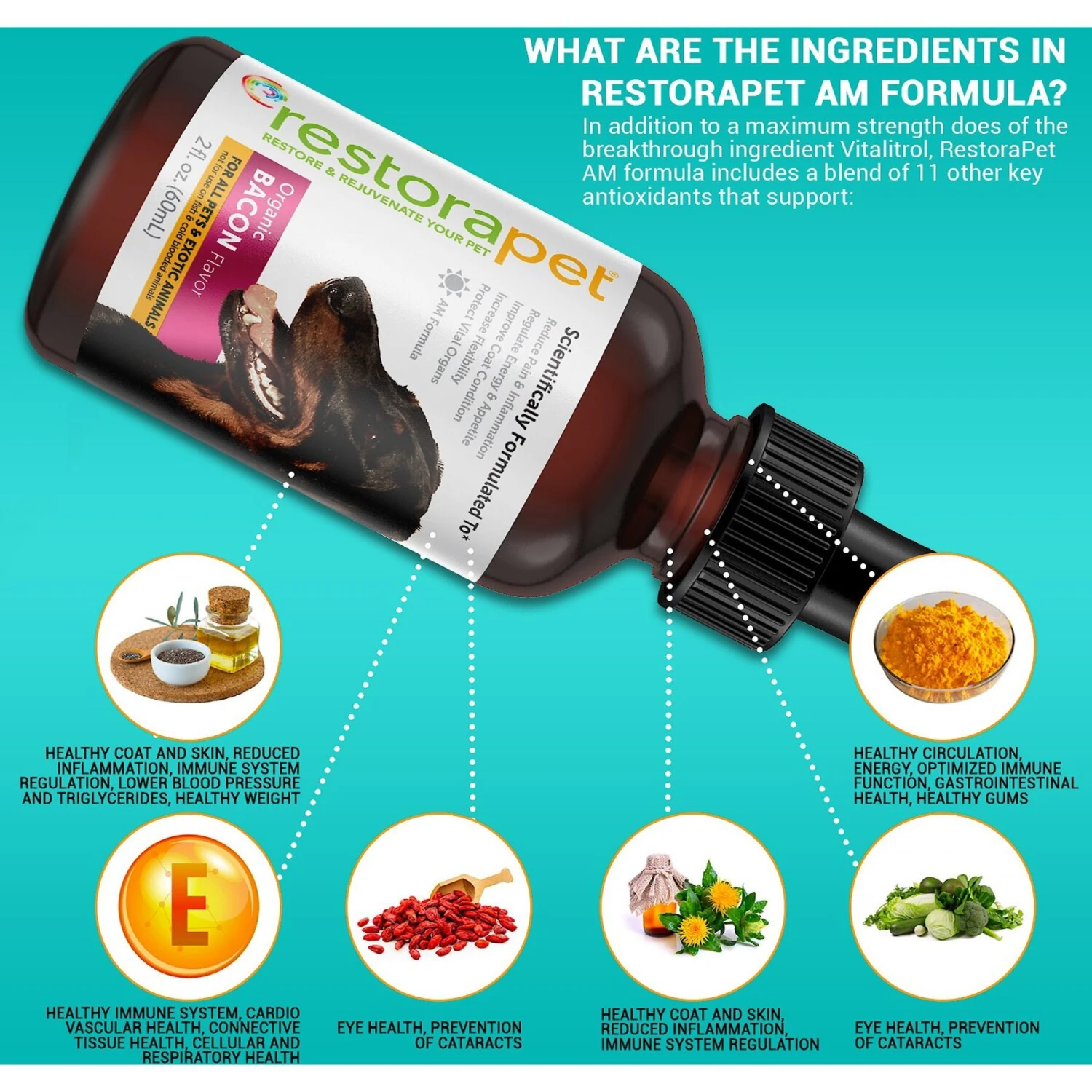 RestoraPet Daily Supplement Organic Beef Flavor Dog & Cat Supplement, 2-oz Bottle 5 RestoraPet Daily Supplement Organic Beef Flavor Dog & Cat Supplement, 2-oz Bottle - Image 5