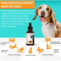 RestoraPet Daily Supplement Organic Beef Flavor Dog & Cat Supplement, 2-oz Bottle 13 RestoraPet Daily Supplement Organic Beef Flavor Dog & Cat Supplement, 2-oz Bottle -Pet Wellness 259490 PT5. AC SS1800 V1606171324