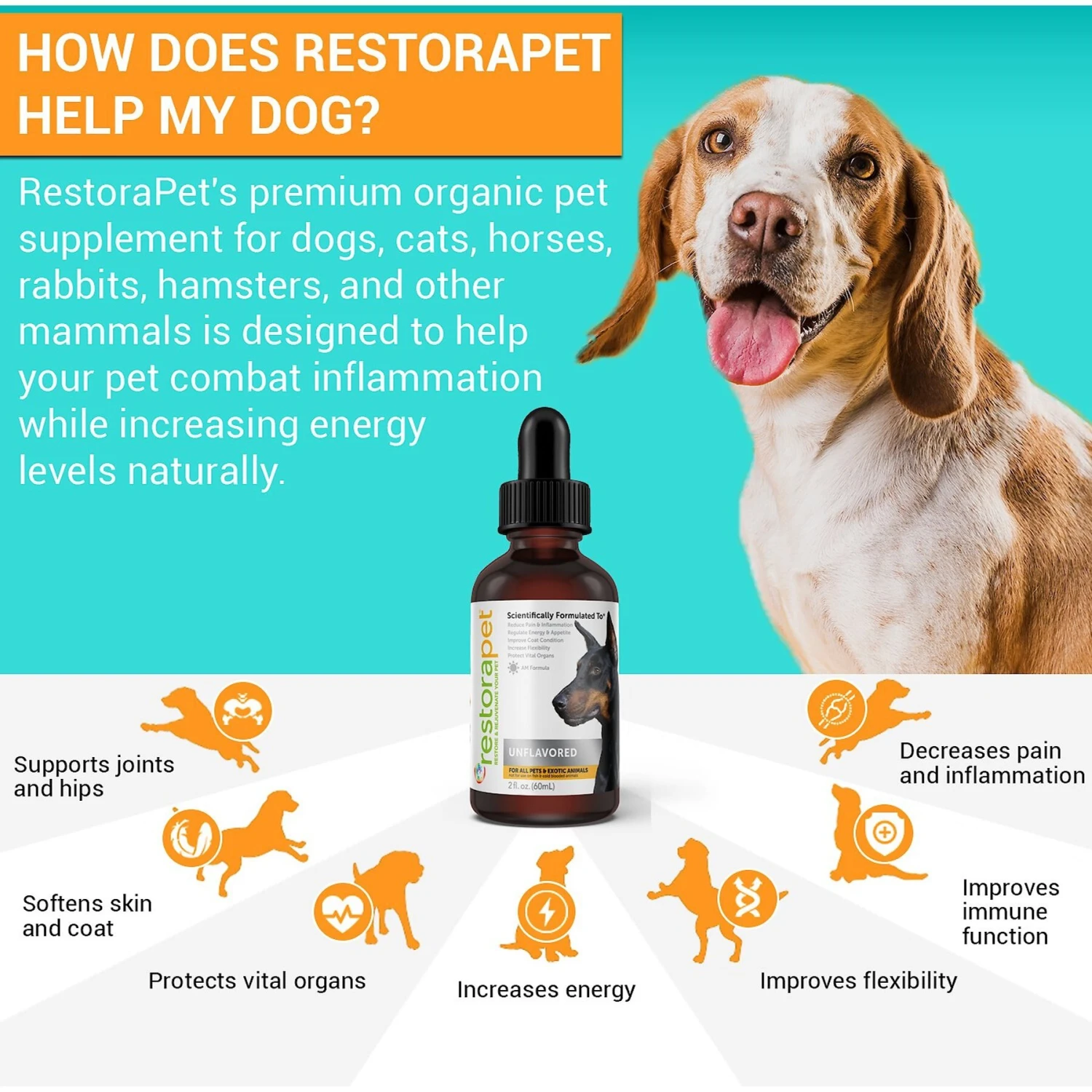 RestoraPet Daily Supplement Unflavored Dog & Cat Supplement, 2-oz Bottle 6 RestoraPet Daily Supplement Unflavored Dog & Cat Supplement, 2-oz Bottle - Image 6