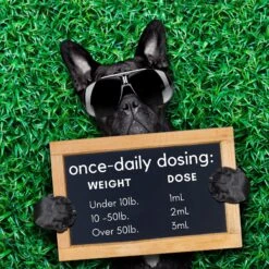 RestoraPet Daily Supplement Unflavored Dog & Cat Supplement, 2-oz Bottle 15 RestoraPet Daily Supplement Unflavored Dog & Cat Supplement, 2-oz Bottle -Pet Wellness 259492 PT7. AC SS1800 V1606174321