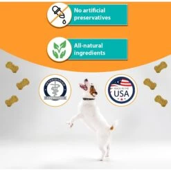 RestoraPet Allergy, Itch & Immune Support Soft Chews Dog Supplement, 60 Count 9 RestoraPet Allergy, Itch & Immune Support Soft Chews Dog Supplement, 60 Count -Pet Wellness 259498 PT2. AC SS1800 V1606185111