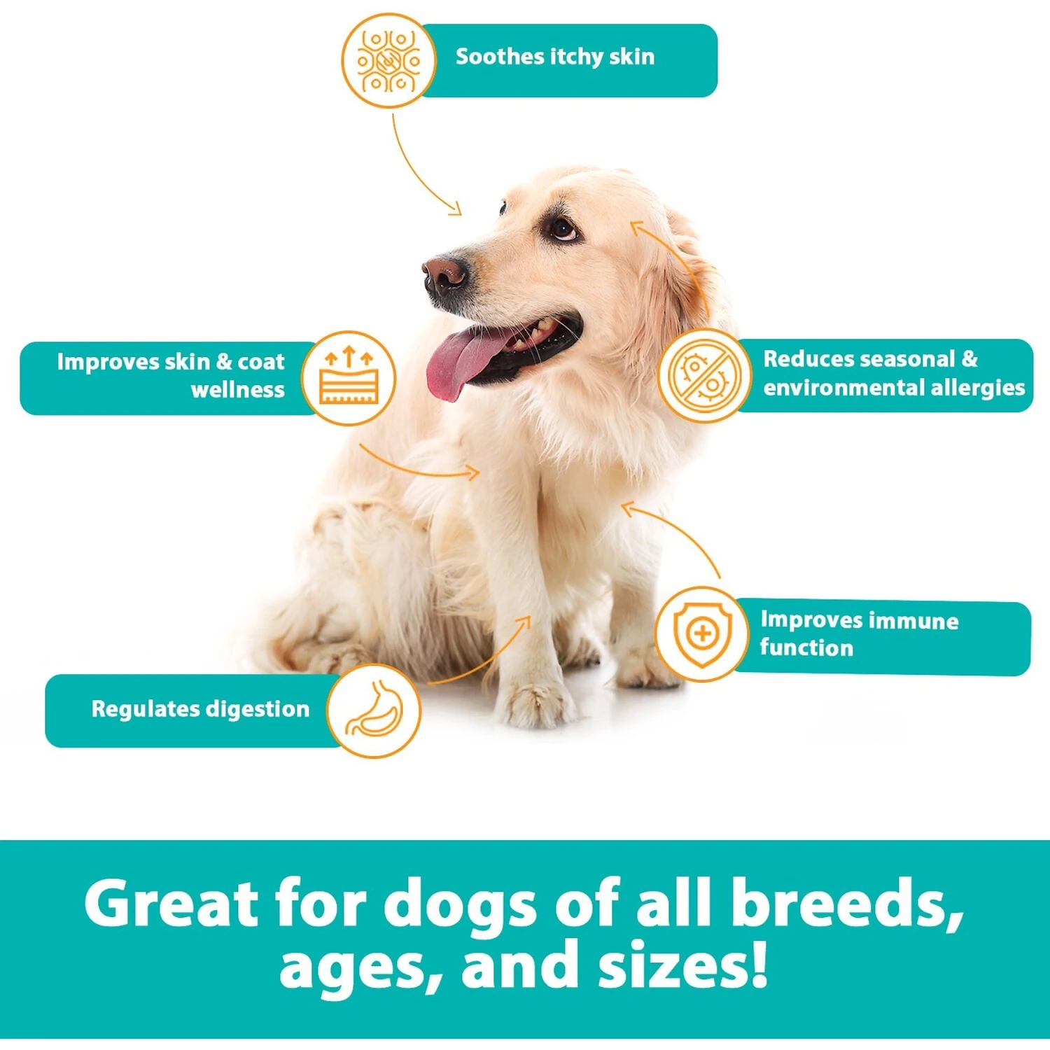 RestoraPet Allergy, Itch & Immune Support Soft Chews Dog Supplement, 60 Count 4 RestoraPet Allergy, Itch & Immune Support Soft Chews Dog Supplement, 60 Count - Image 4