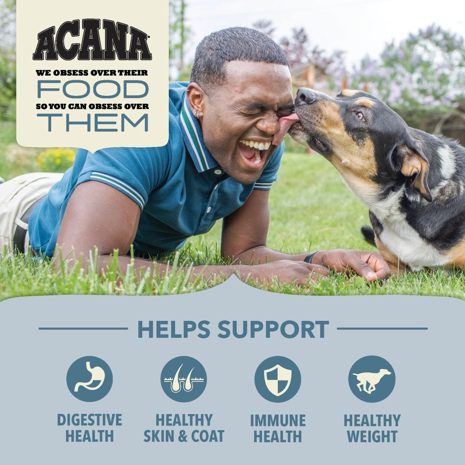 ACANA Sea To Stream Recipe + Wholesome Grains Dry Dog Food 4 ACANA Sea To Stream Recipe + Wholesome Grains Dry Dog Food - Image 4