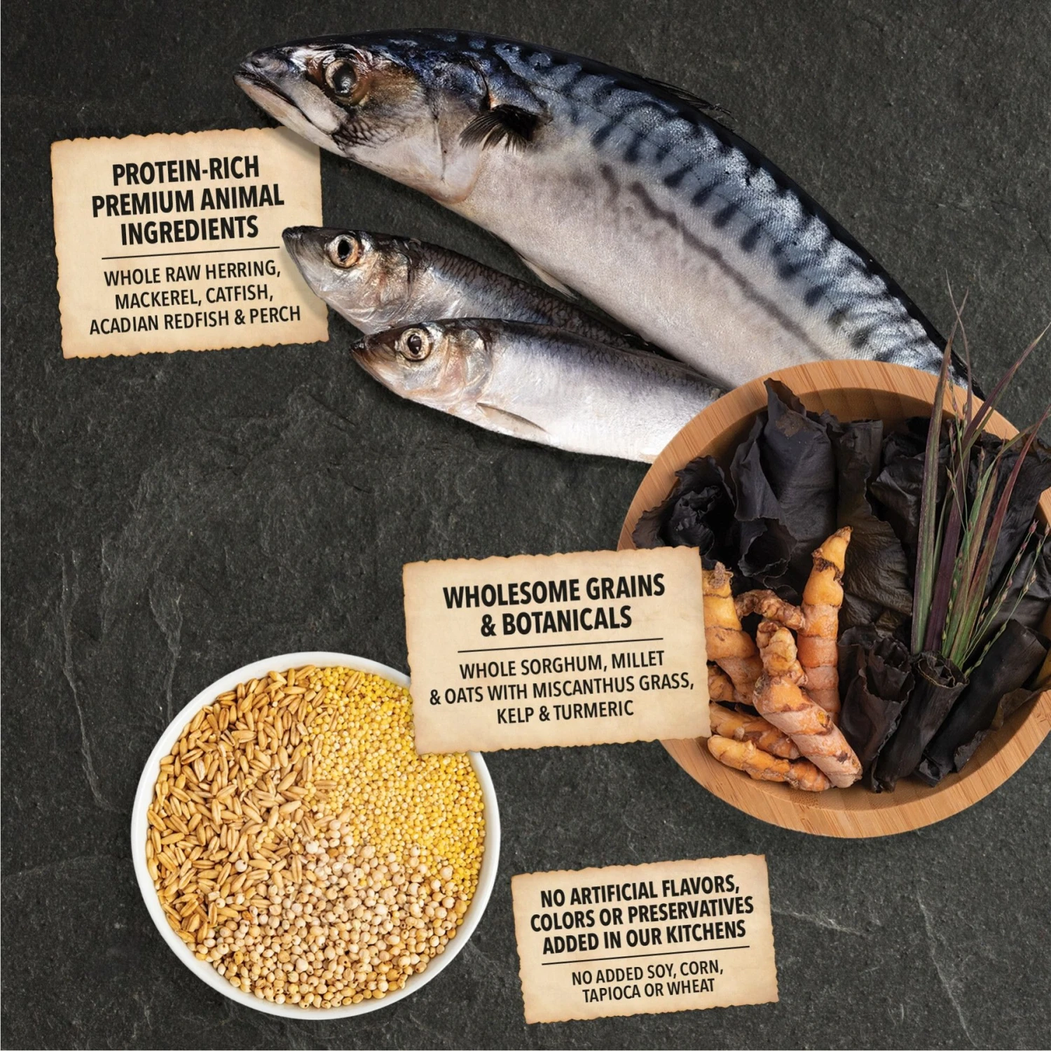 ACANA Sea To Stream Recipe + Wholesome Grains Dry Dog Food 7 ACANA Sea To Stream Recipe + Wholesome Grains Dry Dog Food - Image 7