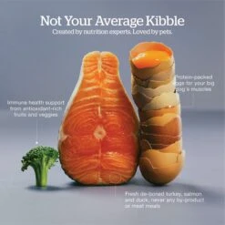 Now Fresh Grain-Free Large Breed Puppy Recipe Dry Dog Food -Pet Wellness 261229 PT3. AC SS1800 V1637794314