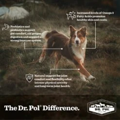 Dr. Pol Vita-Boost Digestive Support Bacon Flavor Meal Topper Powder Dog Supplement, 1-lb Bag -Pet Wellness 262218 PT3. AC SS1800 V1607567260