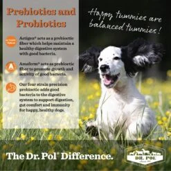 Dr. Pol Vita-Boost Digestive Support Bacon Flavor Meal Topper Powder Dog Supplement, 1-lb Bag -Pet Wellness 262218 PT4. AC SS1800 V1607578644