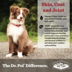 Dr. Pol Vita-Boost Digestive Support Bacon Flavor Meal Topper Powder Dog Supplement, 1-lb Bag -Pet Wellness 262218 PT5. AC SS1800 V1607572645