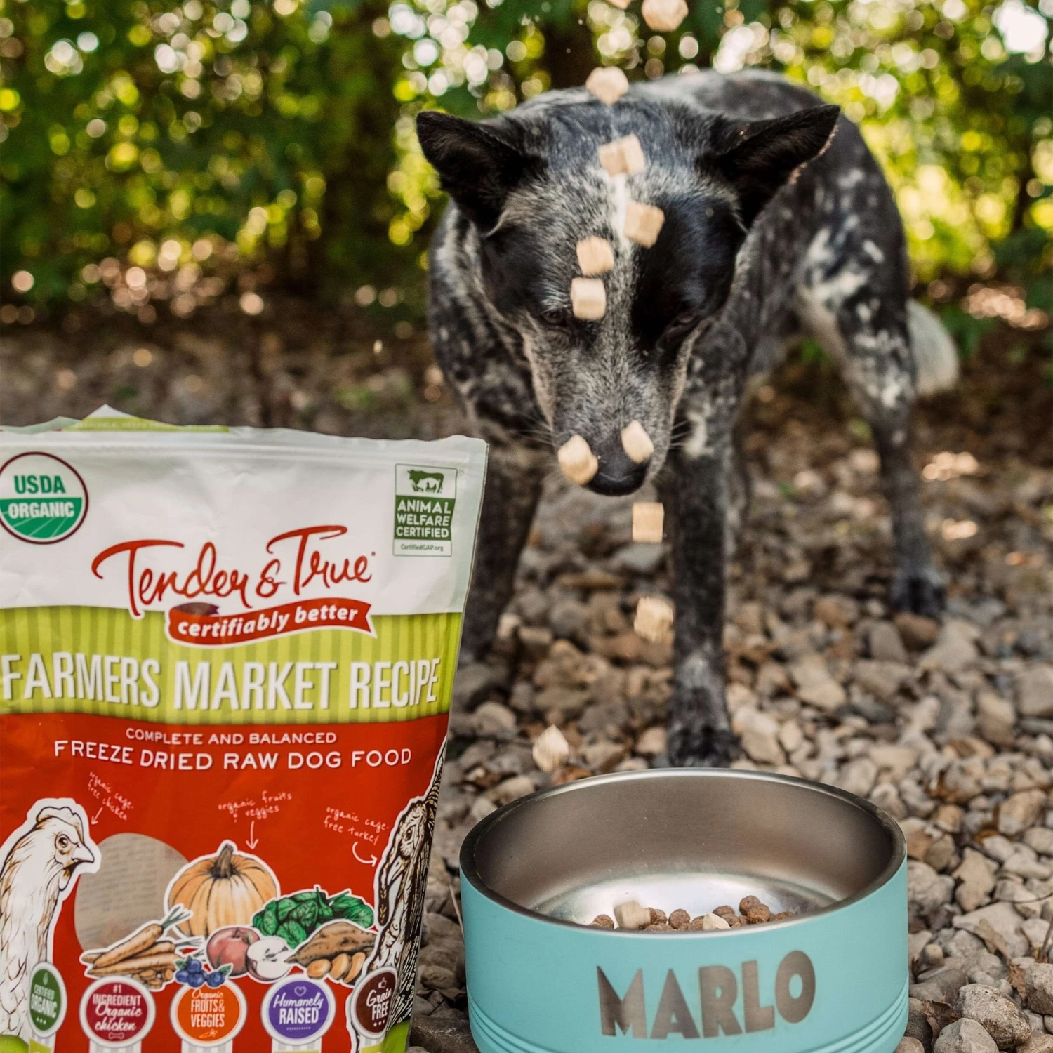 Tender & True Farmers Market Recipe Freeze-Dried Raw Dog Food, 1-lb Bag 5 Tender & True Farmers Market Recipe Freeze-Dried Raw Dog Food, 1-lb Bag - Image 5