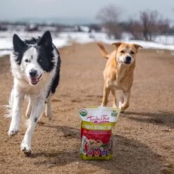 Tender & True Farmers Market Recipe Freeze-Dried Raw Dog Food, 1-lb Bag 12 Tender & True Farmers Market Recipe Freeze-Dried Raw Dog Food, 1-lb Bag -Pet Wellness 262705 PT5. AC SS1800 V1606261918