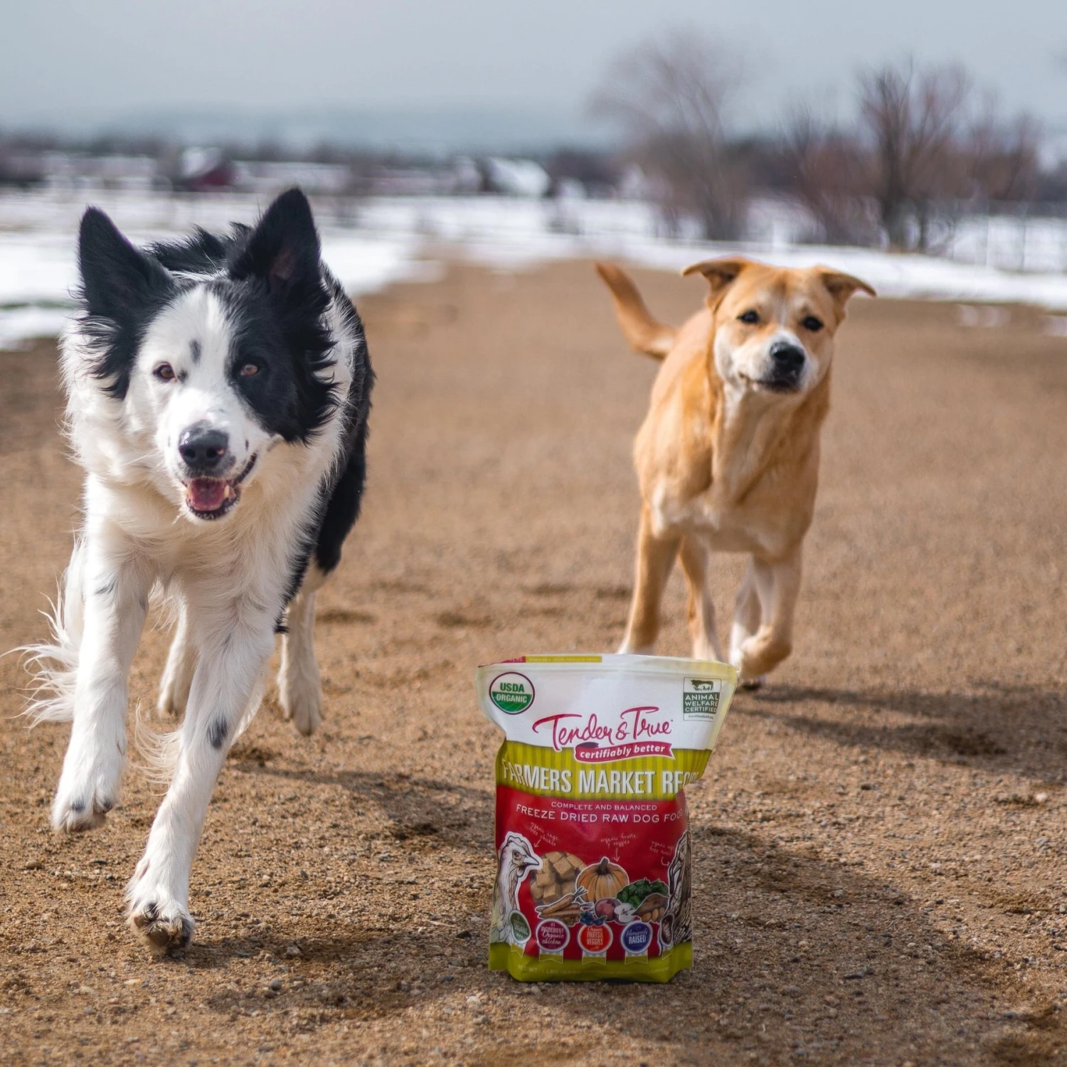 Tender & True Farmers Market Recipe Freeze-Dried Raw Dog Food, 1-lb Bag 6 Tender & True Farmers Market Recipe Freeze-Dried Raw Dog Food, 1-lb Bag - Image 6