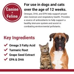 VetClassics Allergy Skin & Coat Soft Chews Dog & Cat Supplement, 90 Count 14 VetClassics Allergy Skin & Coat Soft Chews Dog & Cat Supplement, 90 Count -Pet Wellness 262768 PT6. AC SS1800 V1614353496