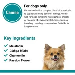 VetClassics Anxiety & Stress Calming Support Soft Chews Dog Supplement, 120 Count -Pet Wellness 262770 PT6. AC SS1800 V1614353481