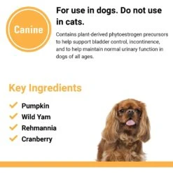 VetClassics Bladder Support Urinary Tract & Incontinence Support Dog Supplement, 60 Count -Pet Wellness 262774 PT6. AC SS1800 V1614358617