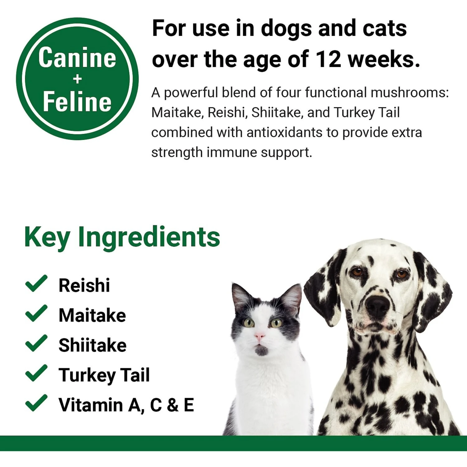 VetClassics CAS Options Extra Strength Immune & Antioxidant Support Dog & Cat Supplement 5 VetClassics CAS Options Extra Strength Immune & Antioxidant Support Dog & Cat Supplement - Image 5