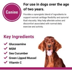 VetClassics Joint Support Plus Hip & Joint Support Soft Chews Dog Supplement, 120 Count -Pet Wellness 262781 PT6. AC SS1800 V1614358023