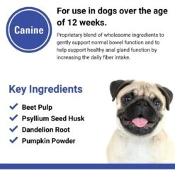 VetClassics No Scoot Anal Gland Function Support Soft Chews Dog Supplement 14 VetClassics No Scoot Anal Gland Function Support Soft Chews Dog Supplement -Pet Wellness 262788 PT6. AC SS1800 V1614358582