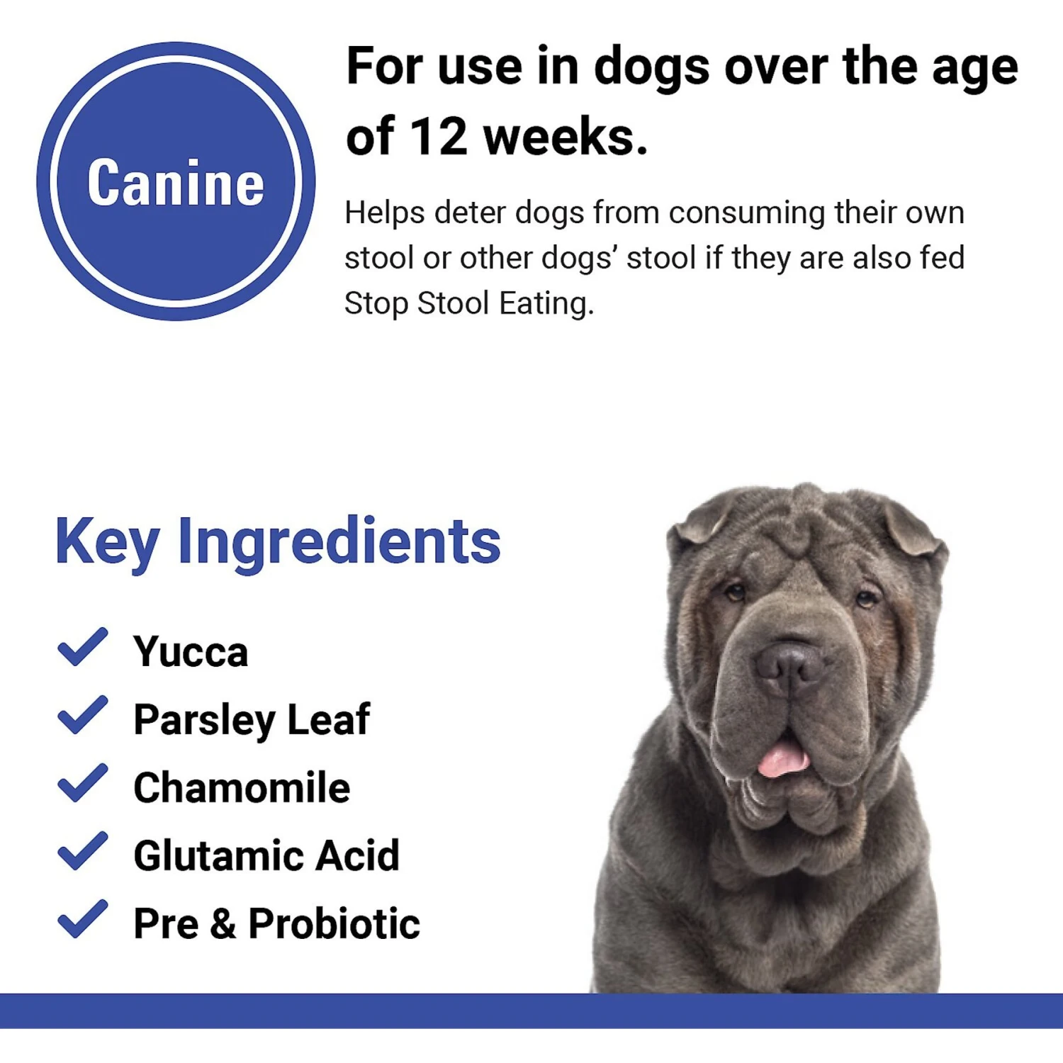 VetClassics Stop Stool Eating Soft Chews Dog Supplement 7 VetClassics Stop Stool Eating Soft Chews Dog Supplement - Image 7