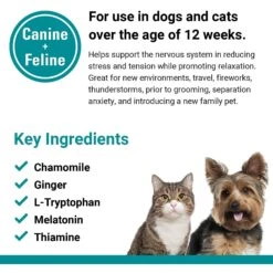 VetClassics Stress Away Calming Aid Soft Chews Dog & Cat Supplement, 65 Count 14 VetClassics Stress Away Calming Aid Soft Chews Dog & Cat Supplement, 65 Count -Pet Wellness 262800 PT6. AC SS1800 V1614352908