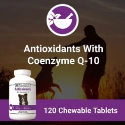 VetClassics Antioxidants With Coenzyme Q-10 Chewable Tablets Dog Supplement, 120 Count 11 VetClassics Antioxidants With Coenzyme Q-10 Chewable Tablets Dog Supplement, 120 Count -Pet Wellness 262804 PT3. AC SS1800 V1614352888