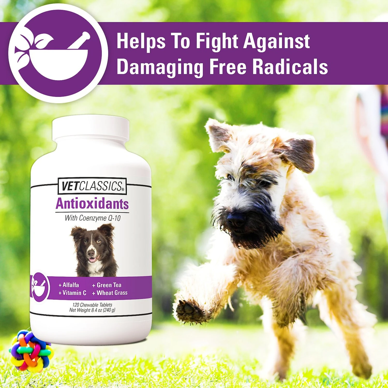 VetClassics Antioxidants With Coenzyme Q-10 Chewable Tablets Dog Supplement, 120 Count 5 VetClassics Antioxidants With Coenzyme Q-10 Chewable Tablets Dog Supplement, 120 Count - Image 5