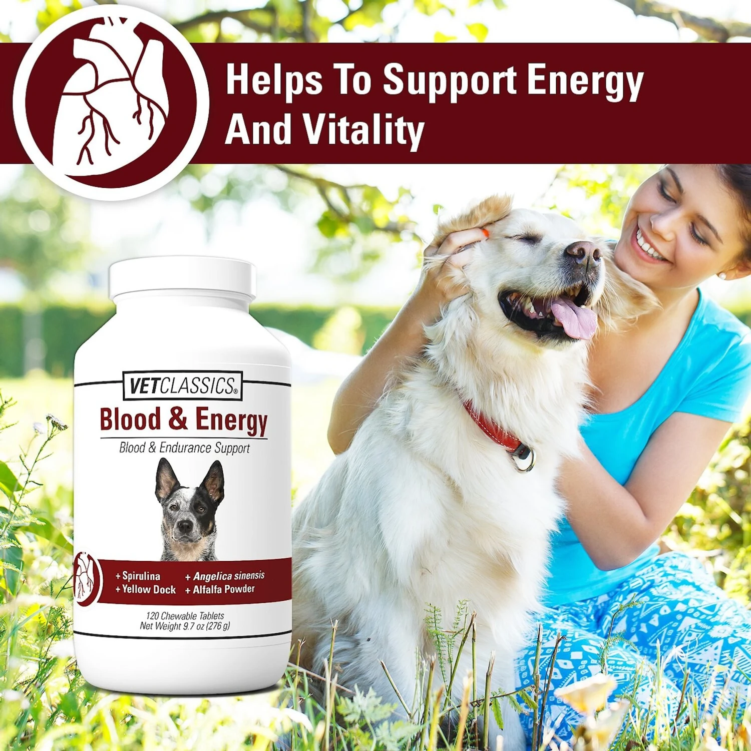 VetClassics Blood & Energy Blood & Endurance Support Chewable Tablets Dog Supplement, 120 Count 5 VetClassics Blood & Energy Blood & Endurance Support Chewable Tablets Dog Supplement, 120 Count - Image 5
