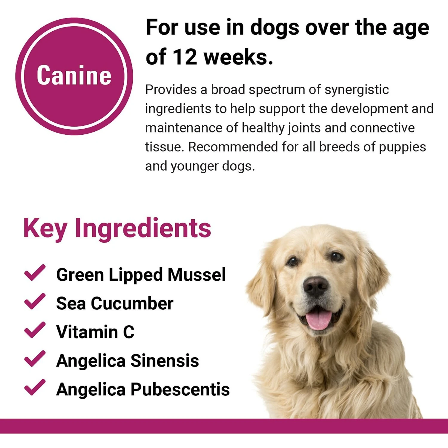 VetClassics Bone & Joint Maintenance Chewable Tablets Dog Supplement, 120 Count 7 VetClassics Bone & Joint Maintenance Chewable Tablets Dog Supplement, 120 Count - Image 7