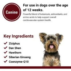 VetClassics Cardiovascular Support With Coenzyme Q-10 Chewable Tablets Dog Supplement, 120 Count -Pet Wellness 262815 PT6. AC SS1800 V1614353182