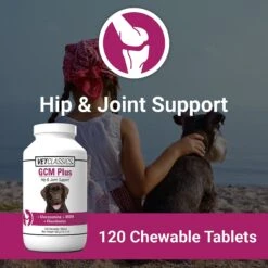 VetClassics GCM Plus Hip & Joint Support Chewable Tablets Dog Supplement, 120 Count -Pet Wellness 262819 PT3. AC SS1800 V1614358580