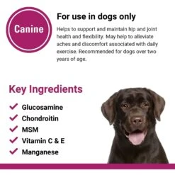 VetClassics GCM Plus Hip & Joint Support Chewable Tablets Dog Supplement, 120 Count -Pet Wellness 262819 PT6. AC SS1800 V1614358585