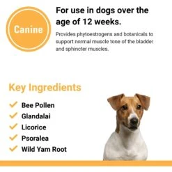 VetClassics Incontinence Support Chewable Tablets Dog Supplement, 120 Count -Pet Wellness 262821 PT6. AC SS1800 V1614359264