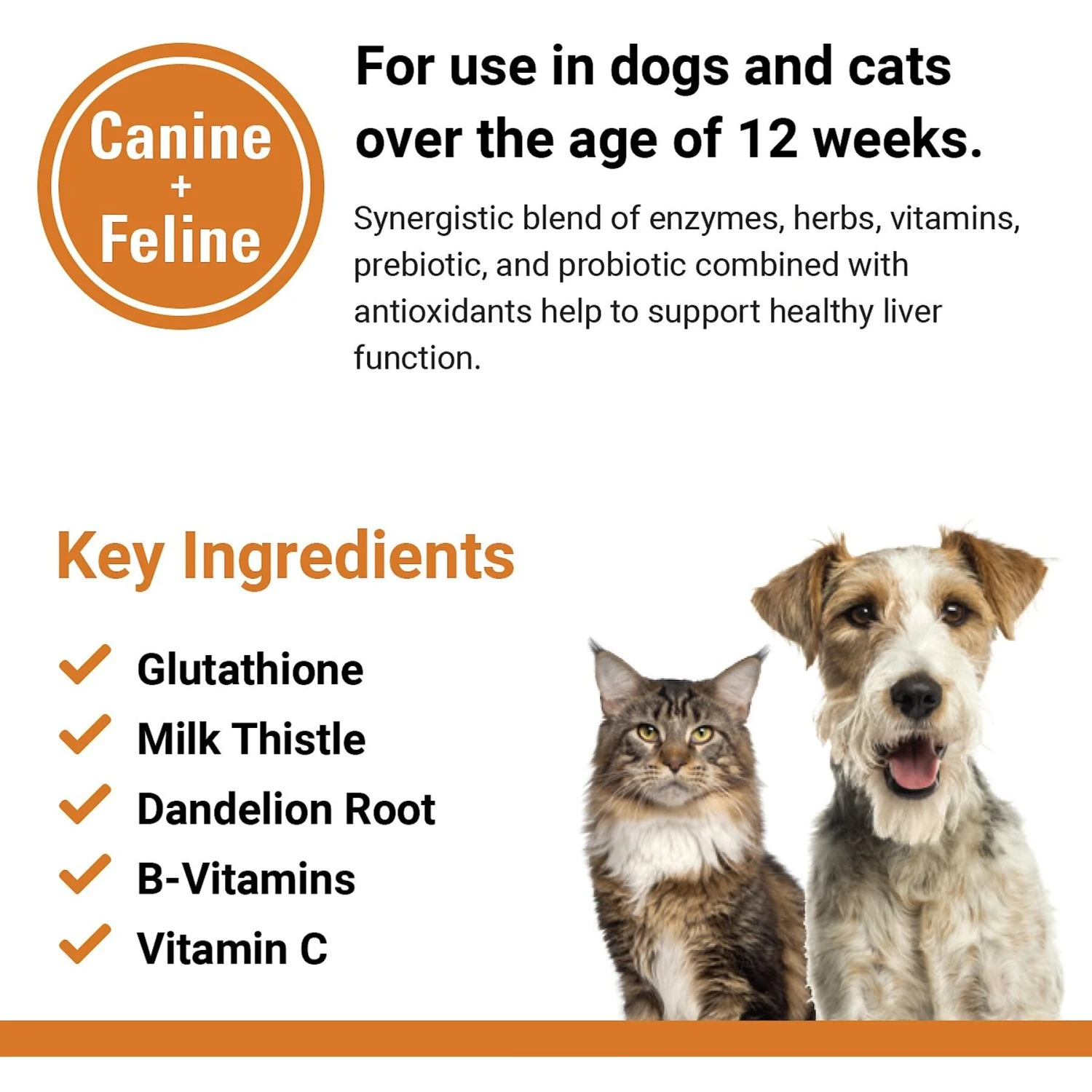 VetClassics Liver Support Chewable Tablets Dog & Cat Supplement, 60 Count 7 VetClassics Liver Support Chewable Tablets Dog & Cat Supplement, 60 Count - Image 7