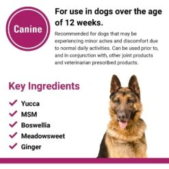 VetClassics Pain Plus Extra Strength Chewable Tablets Dog Supplement, 120 Count -Pet Wellness 262825 PT6. AC SS1800 V1614358615