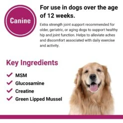 VetClassics Re-Flex Ultra Extra Strength Joint Support Chewable Tablets Dog Supplement, 120 Count 14 VetClassics Re-Flex Ultra Extra Strength Joint Support Chewable Tablets Dog Supplement, 120 Count -Pet Wellness 262827 PT6. AC SS1800 V1614357391