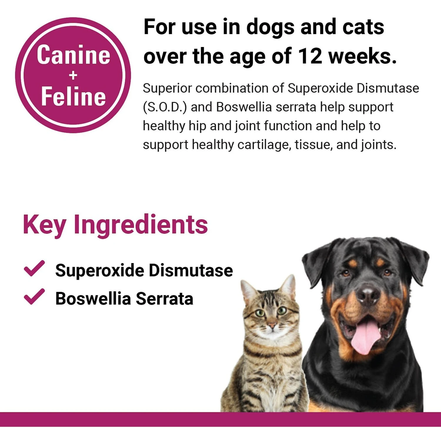 VetClassics S.O.D. & Boswellia Joint Support Chewable Tablets Dog & Cat Supplement 7 VetClassics S.O.D. & Boswellia Joint Support Chewable Tablets Dog & Cat Supplement - Image 7