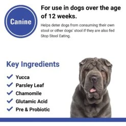 VetClassics Stop Stool Eating Deterrent Chewable Tablets Dog Supplement, 60 Count 12 VetClassics Stop Stool Eating Deterrent Chewable Tablets Dog Supplement, 60 Count -Pet Wellness 262832 PT6. AC SS1800 V1614357390