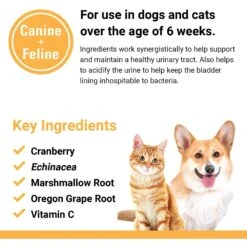 VetClassics Cranberry Comfort Urinary Tract Support Powder Dog & Cat Supplement 14 VetClassics Cranberry Comfort Urinary Tract Support Powder Dog & Cat Supplement -Pet Wellness 262841 PT6. AC SS1800 V1614357699