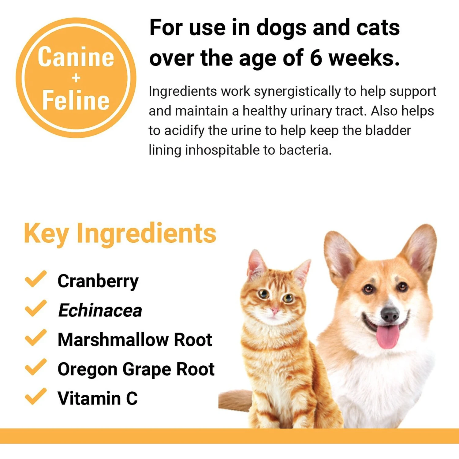 VetClassics Cranberry Comfort Urinary Tract Support Powder Dog & Cat Supplement 7 VetClassics Cranberry Comfort Urinary Tract Support Powder Dog & Cat Supplement - Image 7