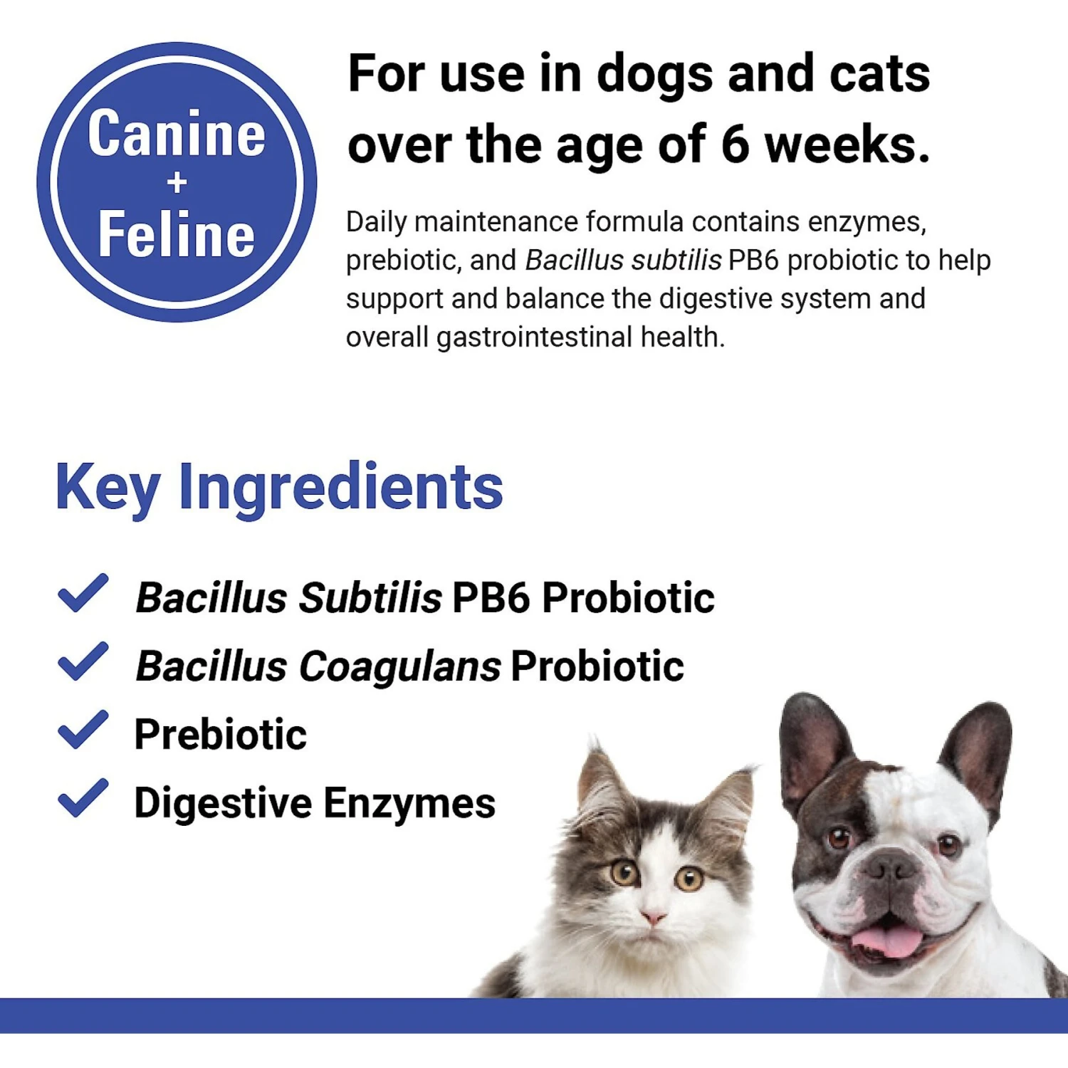 VetClassics Protegrity EZ Probiotic & Enzyme Powder Dog & Cat Supplement 7 VetClassics Protegrity EZ Probiotic & Enzyme Powder Dog & Cat Supplement - Image 7