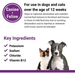 VetClassics Pet-A-Lyte Oral Electrolyte Solution Dog & Cat Supplement, 32-oz Bottle -Pet Wellness 262851 PT6. AC SS1800 V1614359507