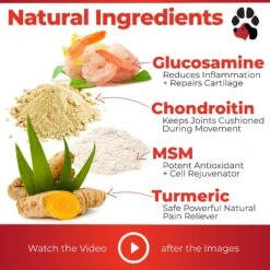 Plano Paws ActivTreats Advanced Hip & Joint Natural Chicken Flavor Soft Chews Dog Supplement, 120 Count 8 Plano Paws ActivTreats Advanced Hip & Joint Natural Chicken Flavor Soft Chews Dog Supplement, 120 Count -Pet Wellness 262900 PT2. AC SS1800 V1607401426