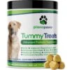 Plano Paws Tummy Treats Advanced Probiotic Natural Chicken Flavor Soft Chews Dog Supplement, 120 Count