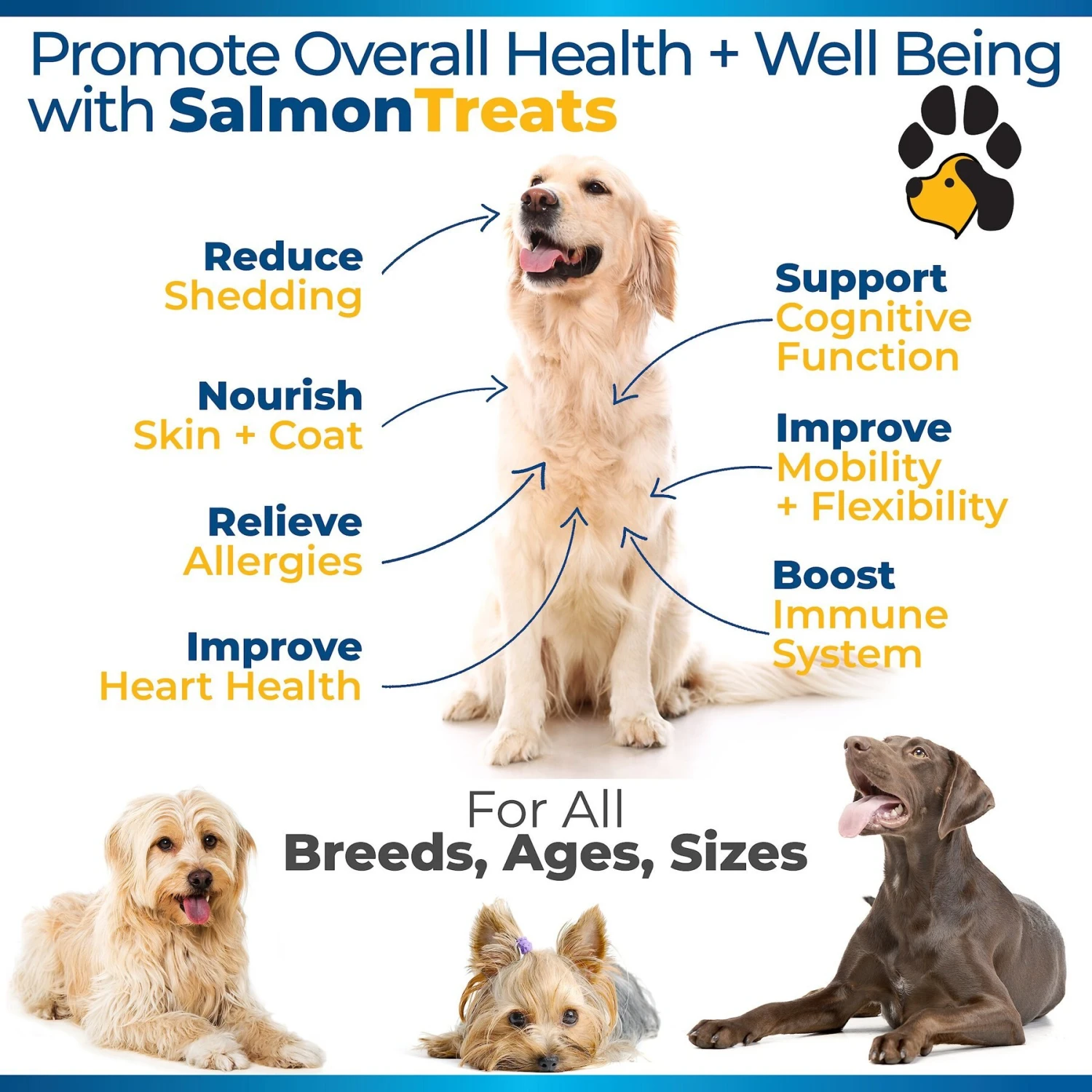 Plano Paws Salmon Treats Advanced Skin & Coat Natural Salmon Flavor Soft Chews Dog Supplement, 120 Count 2 Plano Paws Salmon Treats Advanced Skin & Coat Natural Salmon Flavor Soft Chews Dog Supplement, 120 Count - Image 2