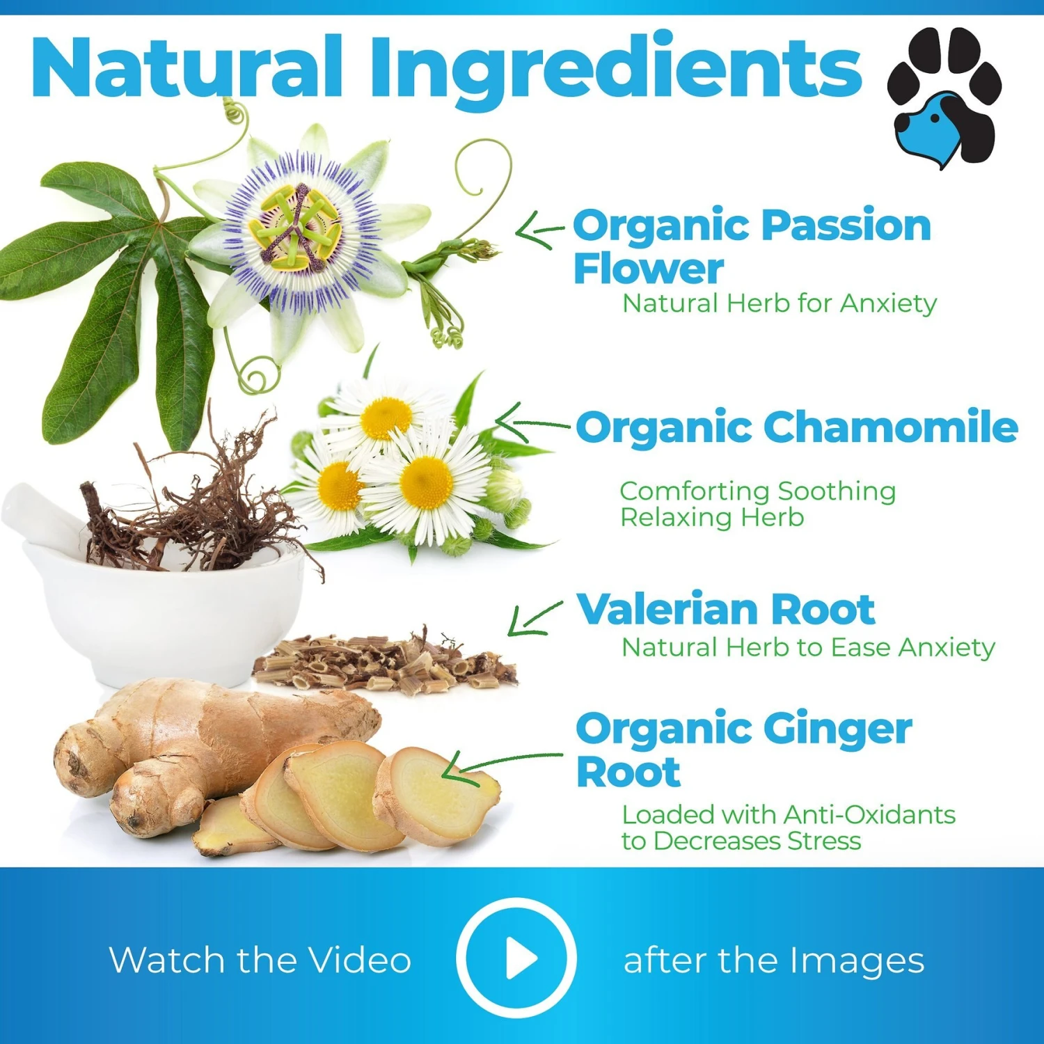 Plano Paws Calm Treats Advanced Calming Natural Chicken Flavor Chews Dog Supplement, 120 Count 2 Plano Paws Calm Treats Advanced Calming Natural Chicken Flavor Chews Dog Supplement, 120 Count - Image 2