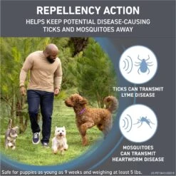 Frontline Shield Flea & Tick Treatment For Medium Dogs, 21 - 40 Lbs -Pet Wellness 263174 PT2. AC SS1800 V1696449631