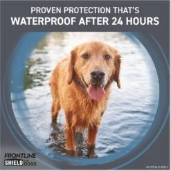 Frontline Shield Flea & Tick Treatment For Medium Dogs, 21 - 40 Lbs -Pet Wellness 263174 PT6. AC SS1800 V1696449691