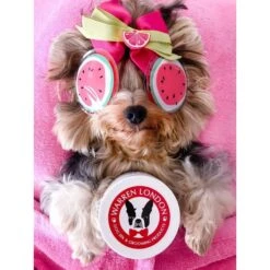 Warren London Hydrating Butter Nose & Paw Dog Balm, 4-oz Jar -Pet Wellness 263434 PT4. AC SS1800 V1660255118