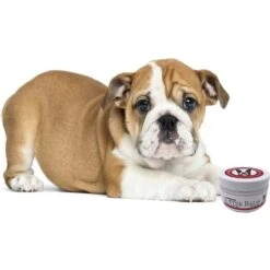 Warren London Hydrating Butter Nose & Paw Dog Balm, 4-oz Jar -Pet Wellness 263434 PT5. AC SS1800 V1607729841