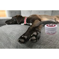 Warren London Hydrating Butter Nose & Paw Dog Balm, 4-oz Jar -Pet Wellness 263434 PT6. AC SS1800 V1607700138